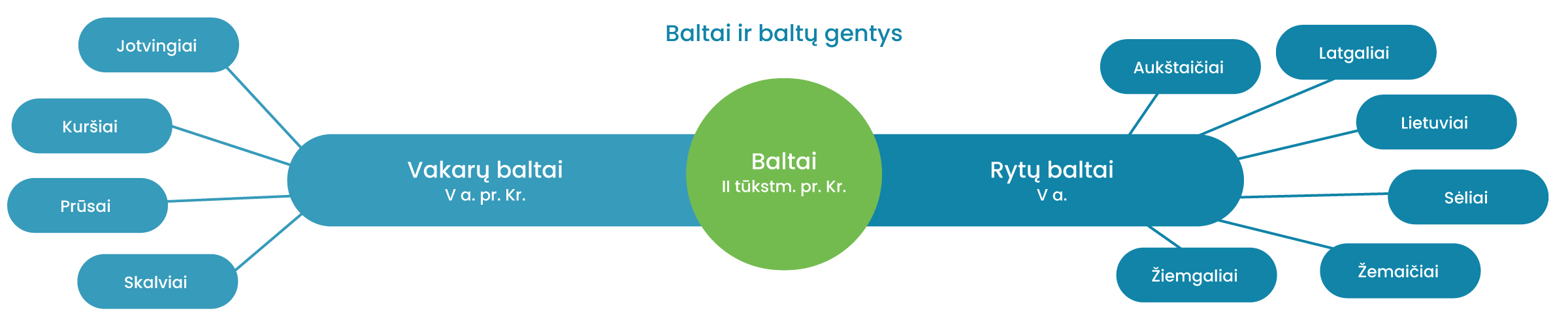 "Baltai ir baltų gentys" iliustracija. Baltai II tūkstm. pr. Kr. išskirstyti į skirtingas puses - į Rytų baltus (V a. pr. Kr.) ir Vakarų baltus (V a.). Vakarų baltai suskirstyti į Jotvingius, Kuršius, Prūsus, Skalvius. Rytų baltai suskirstyti į Aukštaičius, Latgalius, Lietuvius, Sėlius, Žemaičius, Žiemgalius